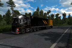 ets2_20201123_230219_00